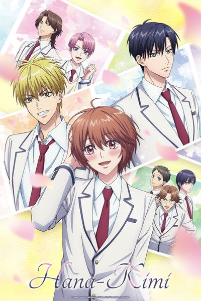 Hana Kimi